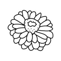 zinnia blossom spring line icon vector illustration