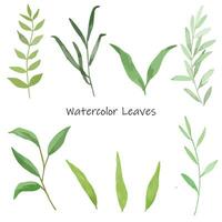 Set of watercolor green leaves elements vector