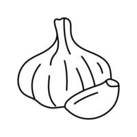 garlic food herb line icon vector illustration