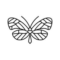 glasswing butterfly spring line icon vector illustration