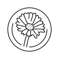 calendula cosmetic plant line icon vector illustration