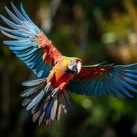 AI generated A colorful parrot in mid-flight, with its wings spread wide and its feathers a rainbow of colors photo