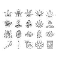 cannabis plant leaf weed hemp icons set vector