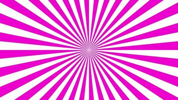 A background of rose and white spirals, violet and white color sun burst visual background pack, Sunlight effect background video template rotates, two pop solid color looping motion background