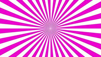 ein Hintergrund von Rose und Weiß Spiralen, violett und Weiß Farbe Sonne platzen visuell Hintergrund Pack, Sonnenlicht bewirken Hintergrund Video Vorlage rotiert, zwei Pop solide Farbe Schleifen Bewegung Hintergrund