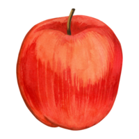 Watercolor illustration. Ripe red apple hand drawn in watercolor on a transparent background. Suitable for printing on fabric and paper, for kitchens, textiles. cards and invitations png