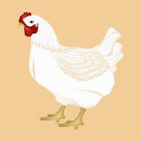 Hen vector design on a white background