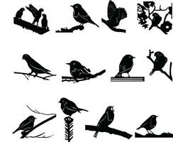 Set of birds silhouette design on a white design vector