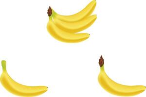 Ripe banana vector design on a white background