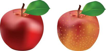 ilustración de manzana vector diseño con hoja vector
