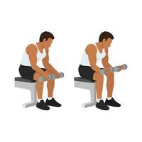 Man doing seated dumbbell palm down wrist curls or forearm curls exercise. vector