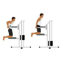 Man doing dips on parallel bars in the gym exercise. vector