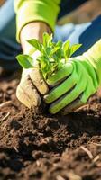 AI generated gardener using a trowel to plant a seedling in a pot with a vibrant, green background photo