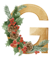 acquerello oro Natale inverno foresta floreale alfabeto con campana, pino, santo bacca, bosco botanico floreale lettere impostato elemento per bambino doccia invitare, nozze monogramma iniziali png