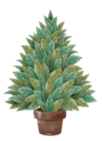 Christmas tree with decoration in watercolor painting design isolated against transparent background png