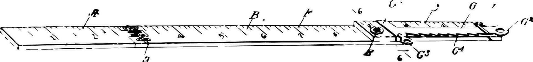 Drawing Ruler wide range of sizes vintage engraving. vector