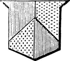 Parted Per Pale and Per Chevron has applies to the several parts of an escutcheon parted by a line, vintage engraving. vector