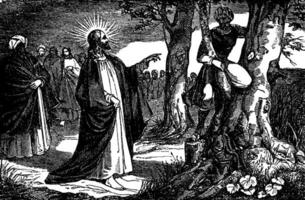 Jesus Speaks to Zacchaeus the Tax Collector vintage illustration. vector