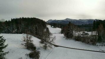 Flug Über ein schneebedeckt Landschaft video