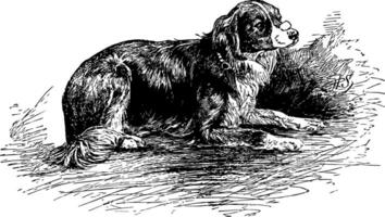 Dog Waiting, vintage illustration. vector