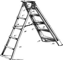 Six Step Ladder vintage illustration. vector