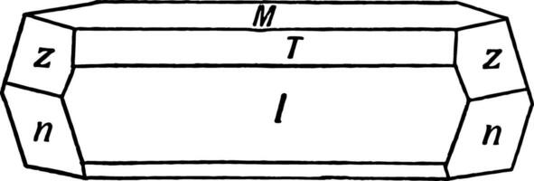 Elongation in the Direction of the Orthogonal Axis, vintage illustration vector