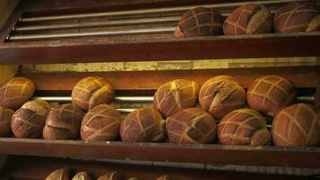 fresco al forno pane a agricoltori mercato scaffali nel Istanbul . video