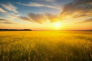 ai generado dorado hora puesta de sol en el campo. Pro foto