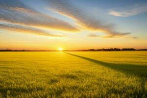 AI generated Golden hour sunset on the field. Pro Photo