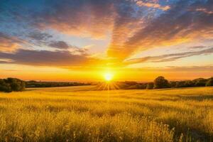 ai generado dorado hora puesta de sol en el campo. Pro foto