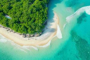 AI generated aerial view of the tropical beach and ocean. Pro Photo