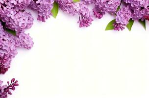 AI generated lilacs frame on a white background flower photo