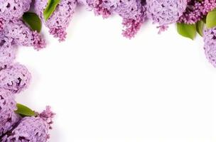 AI generated lilacs frame on a white background flower photo