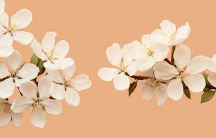 AI generated a beautiful arrangement of white flowers on a peachy background photo