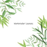 Set of watercolor green leaves elements vector