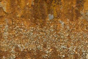 antecedentes textura de oxidado acero foto