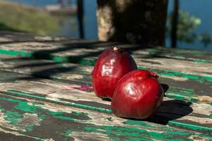 pomeraco, malayo manzana en el madera. foto