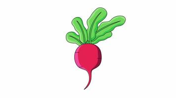 Animation forms a red radish icon video