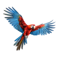ai genererad scharlakansrött ara papegoja flygande på transparent bakgrund png