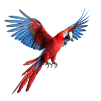 ai genererad scharlakansrött ara papegoja flygande på transparent bakgrund png