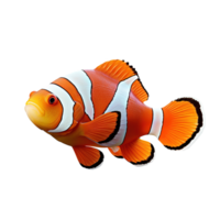 AI generated Clown fish in transparent background png