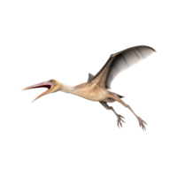 ai genererad pteranodon, pterodactylus dinosaurie på transparent bakgrund png