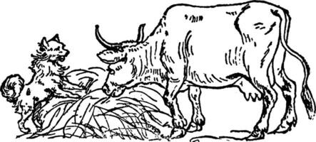 Cow and Dog, vintage illustration. vector