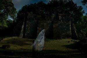 Low key image a blur white ghost under big tree in ancient forest. photo