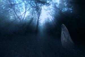 Low key image a blur white ghost in forest with light and mist. photo