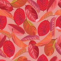 Seamless pattern with autumn leaves of black rowan on a pink background vector