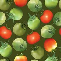 Seamless pattern of red and green tomatoes on a green background vector