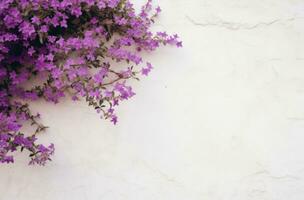 ai generado un blanco pared con púrpura flores foto