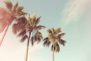 AI generated palm trees standing horizontally against the sky photo