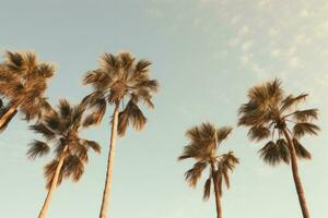 AI generated palm trees standing horizontally against the sky photo